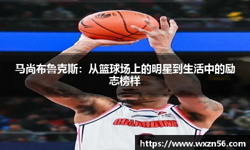 江南.体育jn