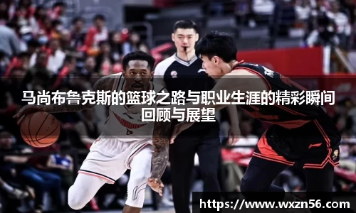 jn体育官网